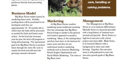 Big Bison Ranch Internal Page